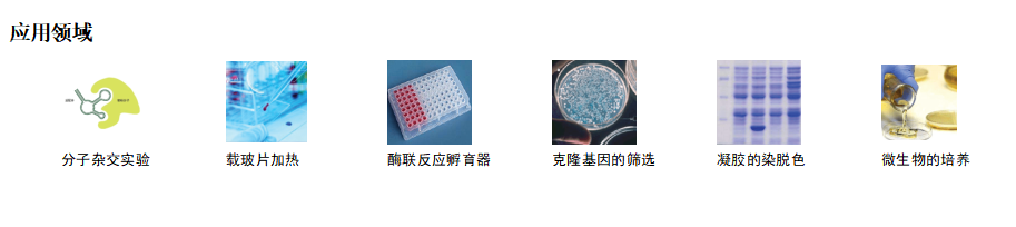 分子杂交箱1.png